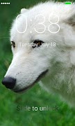 Wolf Lock Screen скриншот 2