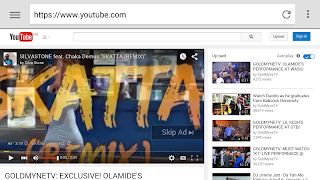 2 Schermata PC Browser Max