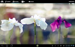 EZ Display ภาพหน้าจอ 2