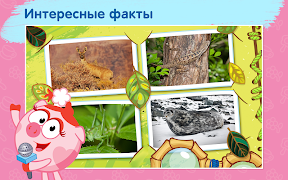 Смешарики - развивающий комикс تصوير الشاشة 3