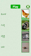 Flashcards kannada Lesson Ekran Görüntüsü 3