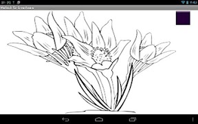 Malbuch für Erwachsene Deutsch captura de pantalla 4