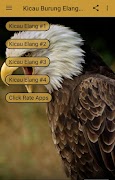 Kicau Burung Elang Pikat screenshot 1