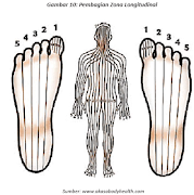 Panduan Pijat Refleksi Ekran Görüntüsü 1
