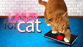 Kediler için lazer pointer gönderen