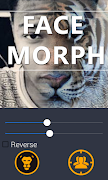 Morph Faces স্ক্রিনশট 4