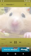 Hamster Sounds imagem de tela 2