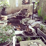 Mini lagoas de peixe imagem de tela 7