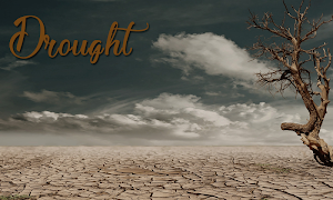 Drought โปสเตอร์