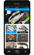 jas fish mart 스크린샷 1