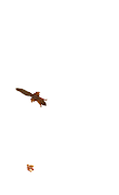 2 Schermata Squirrel simulator
