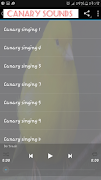 برنامه‌نما Canary singing عکس از صفحه