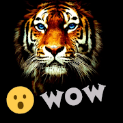 Diamond Photo Editor اسکرین شاٹ 1