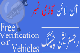 1 Schermata Vehicle Verification 2018 - 2019