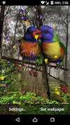 Love Birds Live Wallpaper syot layar 5