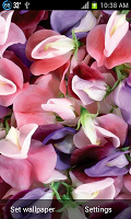 Ripple Rose Petals স্ক্রিনশট 3