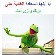 كلمات كيرمت الضفدع مجنون Kermit The Frog 2019 स्क्रीनशॉट 3