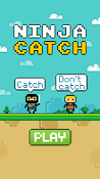 Ninja Catch 포스터