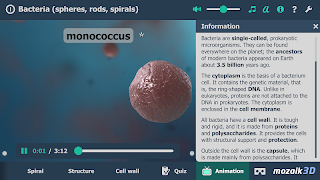 Bacteria interactive educational VR 3D ภาพหน้าจอ 5