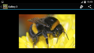 Bumblebee Ideas ภาพหน้าจอ 5