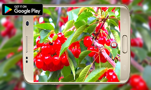 Camera For Android Lenovo تصوير الشاشة 3