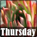 Thursday
