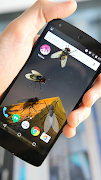 4 Schermata Fly On Screen Joke