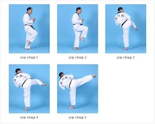 Learn Taekwondo پوسٹر