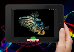 برنامه‌نما Betta Fish 3D 2017 عکس از صفحه