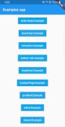Flutter Example App الملصق