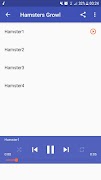 Hamster Sounds screenshot 1