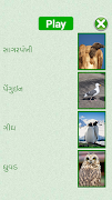 Flashcards Gujarati Lesson スクリーンショット 3