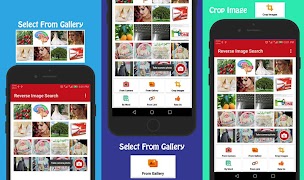 Reverse Image Search imagem de tela 5