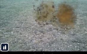Bomb Screen 3D ảnh chụp màn hình 4