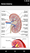 برنامه‌نما Human Anatomy عکس از صفحه
