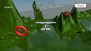 Airplane Flight Simulator 3D 截图 1