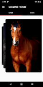 Beautiful Horses 4K โปสเตอร์