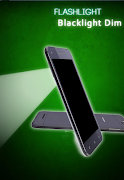 Flashlight Blacklight Dim Affiche