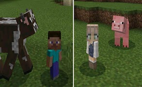 Addon for Minecraft 2017 截图 2