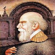 Test IQ screenshot 3