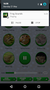 Frog Sounds ภาพหน้าจอ 3