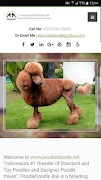 Poodledoodle পোস্টার