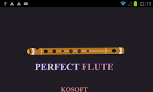Perfect Flute 海報