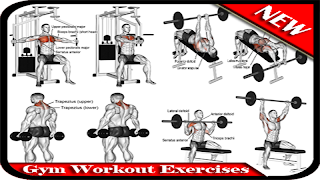 Exercícios de treino de ginástica imagem de tela 6
