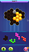 برنامه‌نما Hex Blast! Block Puzzle Game عکس از صفحه