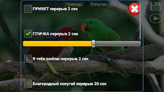 Разговорник для попугаев syot layar 2