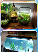 Aquarium Design screenshot 2