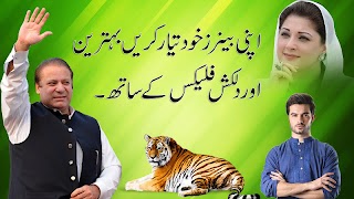 PMLN Flex and banner Pakistan Muslim league 2019 poster