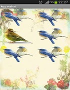 برنامه‌نما Bird sounds عکس از صفحه