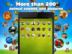 Animal Sounds & Pictures Free スクリーンショット 7